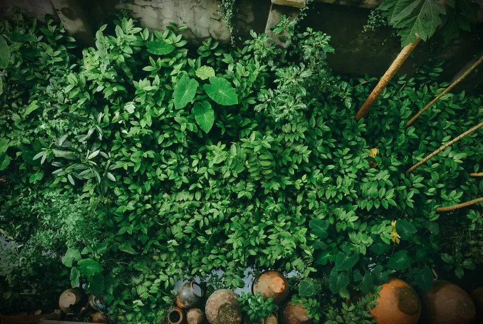 Greens & Outdoors at K RAHEJA STERLING, Mohammed Wadi (NIBM), Pune