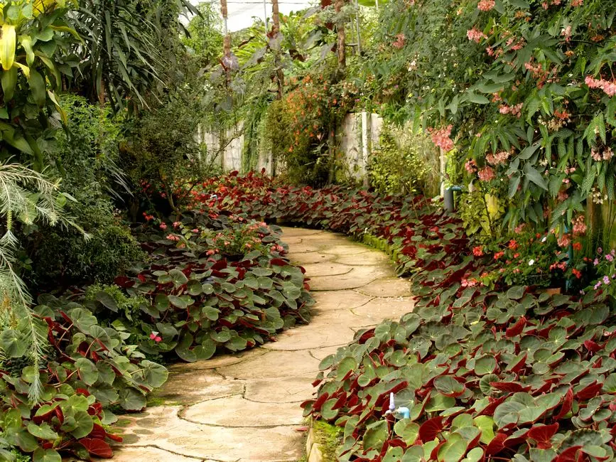 Greens & Outdoors at K RAHEJA AURUM, Mohammadwadi, Pune