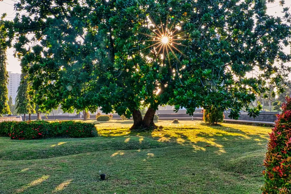 Greens & Outdoors at K RAHEJA WORLI, Mumbai