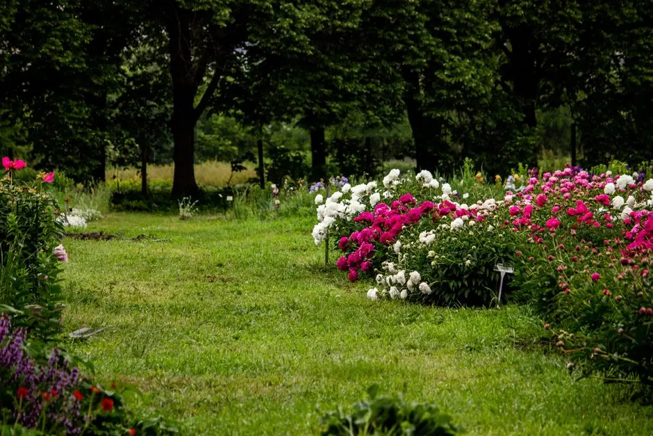 Greens & Outdoors at K RAHEJA T9 CHRONOS, Mohammadwadi, Pune