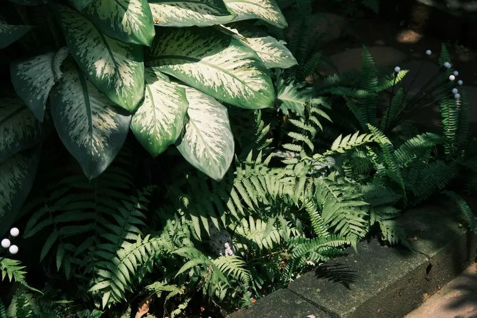 Greens & Outdoors at K RAHEJA ORION VIVA, Pirangut, Pune