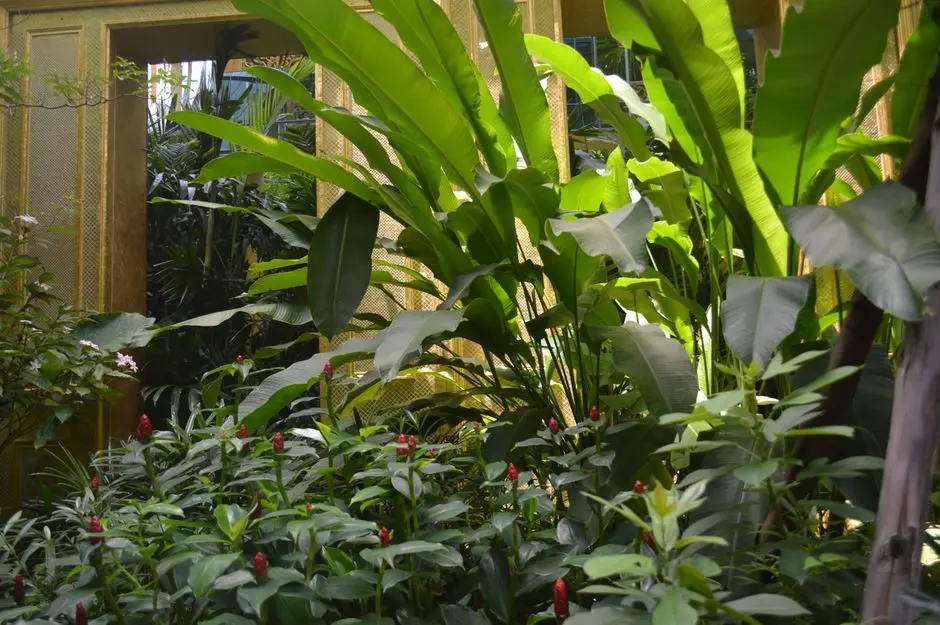 Greens & Outdoors at K RAHEJA TARDEO (BAYSIDE MALL & POPULAR PRESS REDEVELOPMENT), Mumbai