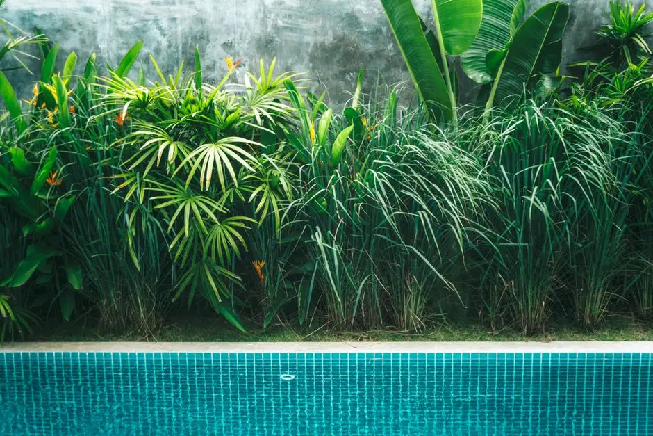 Greens & Outdoors at K RAHEJA VISTAS, Nacharam, Hyderabad