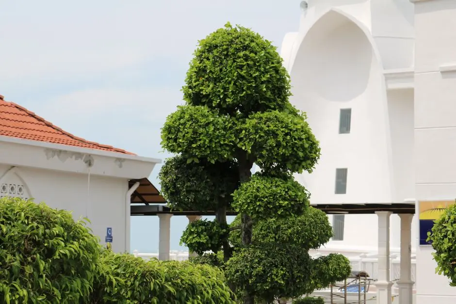 Greens & Outdoors at K RAHEJA CHALET HOTELS RESORT, BAMBOLIM, GOA, Goa