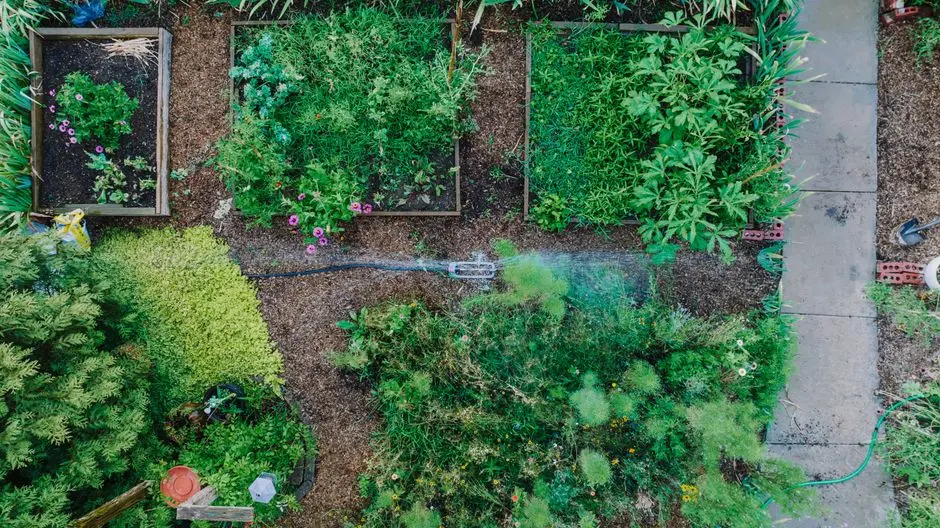 Greens & Outdoors at K RAHEJA CG HOUSE WORLI REDEVELOPMENT, Mumbai