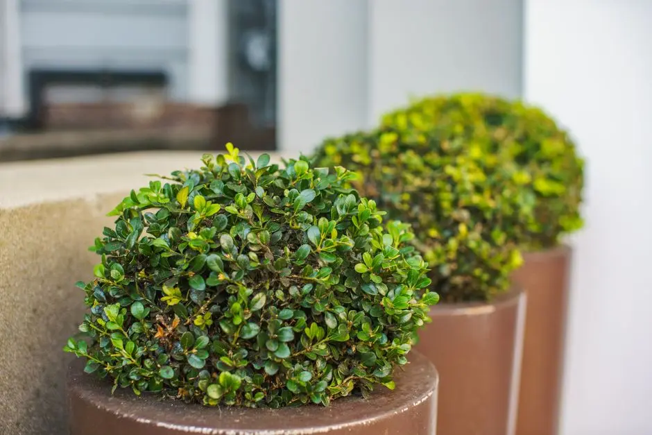 Greens & Outdoors at K RAHEJA ATHIVA HOTEL AT MINDSPACE PUNE (CHALET HOTELS), Mindspace Business Park, Pune